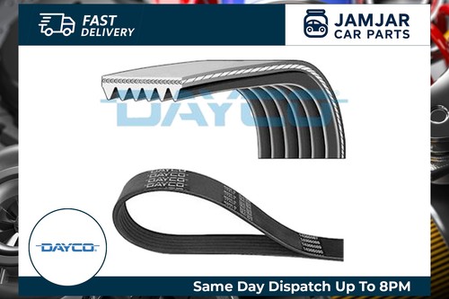 Dayco 6pk1013 ribbed belts - dayco, v-ribbed